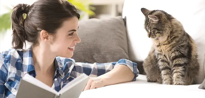 Kinh nghiệm nuôi thú cưng khi ở ghép để sống hòa thuận với roommate